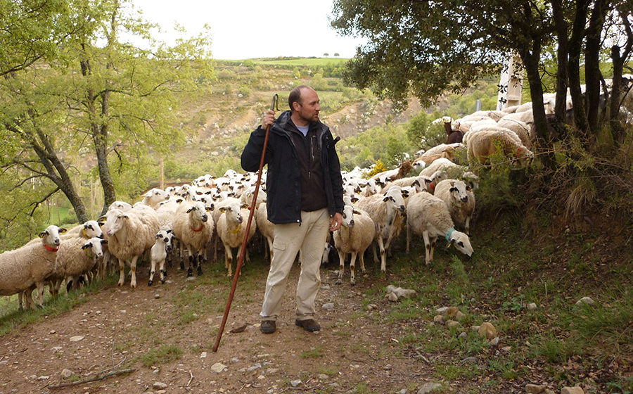 Devenez bergers à Casa Mateu