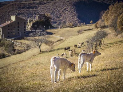 EcoCarn Casa Masover