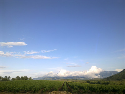 El Vinyer