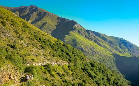Transhumance from Casa Masover-Valley of Manyanet