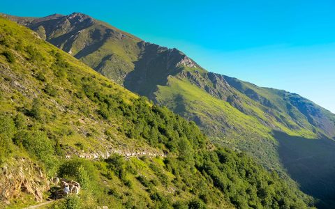 Transhumància de Casa Masover a la Vall de Manyanet