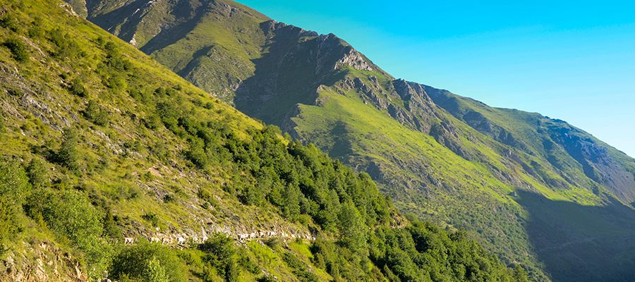 Transhumància de Casa Masover a la Vall de Manyanet