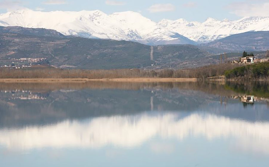 Vi paisatgístic