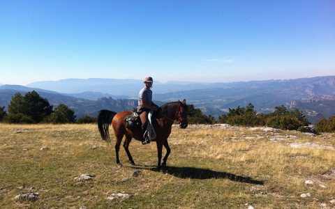 Routes on horseback through the Vall de Manyanet