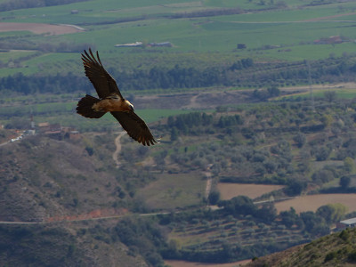 Vue à vol d’oiseau