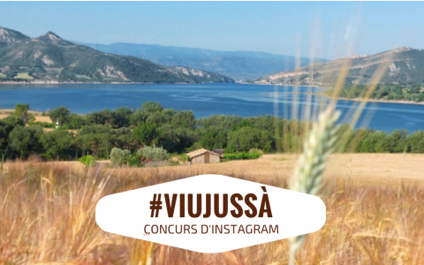 Concurs d’Instagram #viujussa