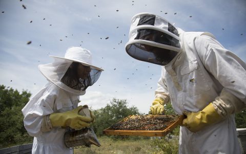 Experiència Apícola a Mont Rebei