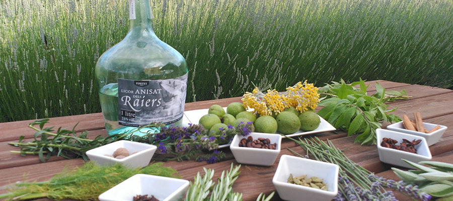 ¿Quieres hacer tu Ratafia? Fiesta