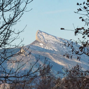 Refugi Casa Bigodé