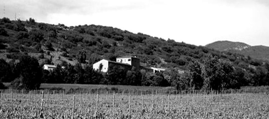 Tast Musical Celler Vila Corona
