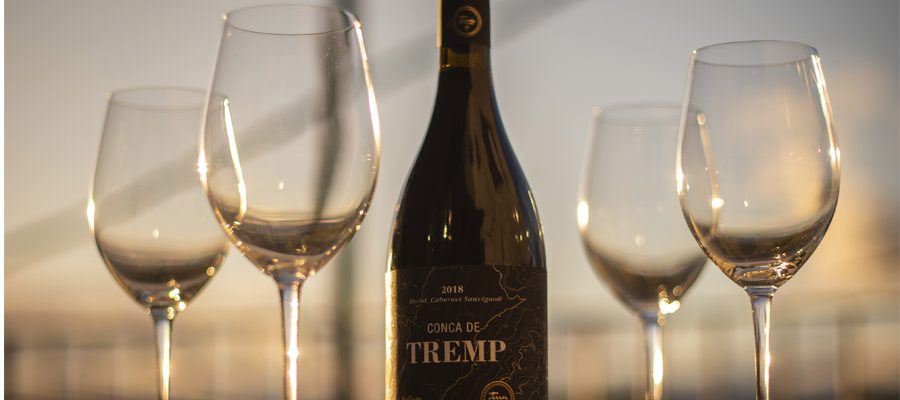 Visita al Terrer de Pallars amb tast de 3 vins