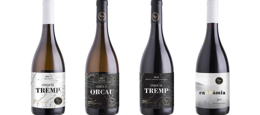 Visite à Terrer de Pallars avec dégustation de 3 vins