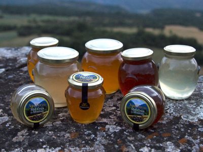 ApiFerro – Raw Honey from Montsec