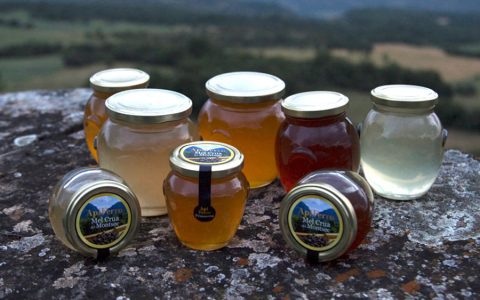 ApiFerro – Raw Honey from Montsec