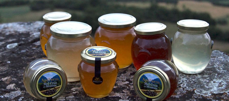 ApiFerro – Raw Honey from Montsec