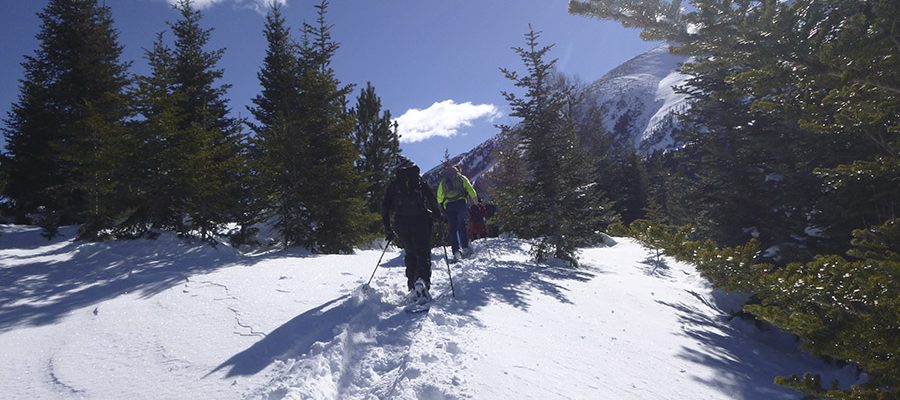 Active ecotourism with snowshoes