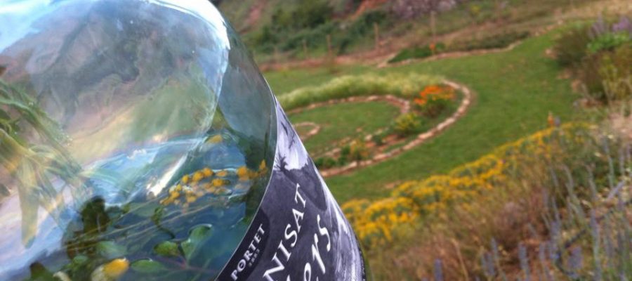 ¿Quieres hacer tu propia Ratafia? Taller