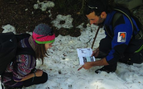 Rastreig per la neu